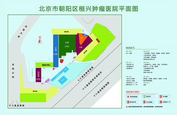 艹逼视频18北京市朝阳区桓兴肿瘤医院平面图